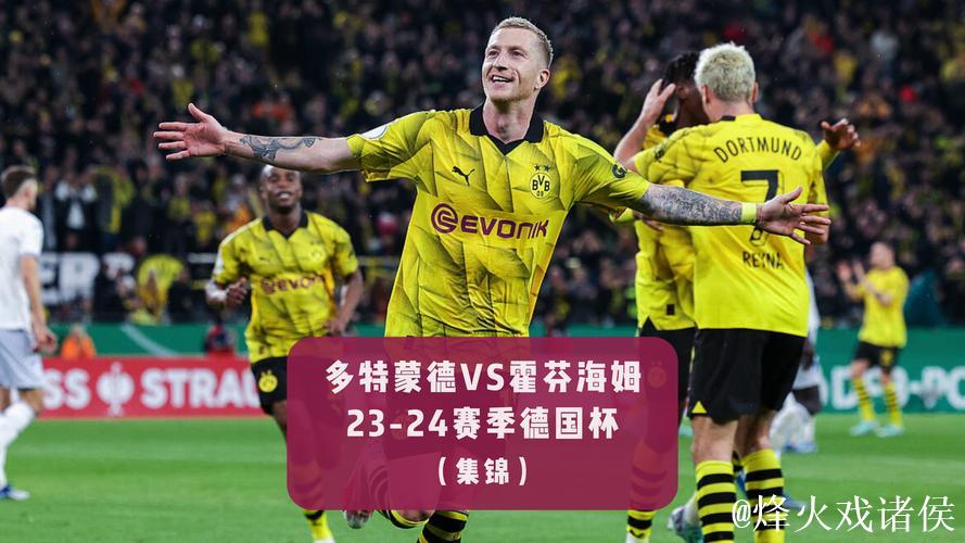 多特蒙德2比0战胜霍芬海姆,德甲赛场捷报频传 多特蒙德2比0战胜霍芬海姆,德甲赛场捷报频传